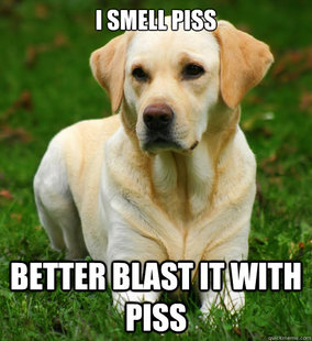 Dog Logic
