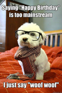 Hipster Dog