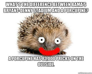 Porcupine Meme