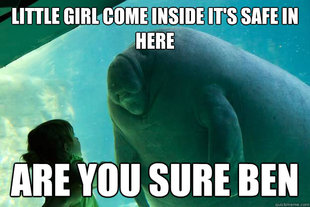 Overlord Manatee