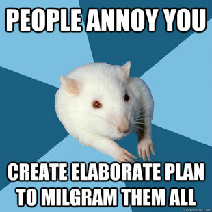 Psychology Major Rat