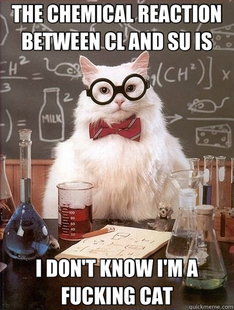Chemistry Cat