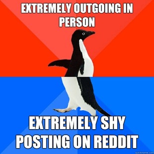Socially Awesome Awkward Penguin