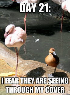 Spy Duck