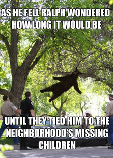 i am a falling bear