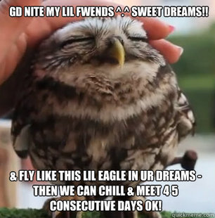 cute owl
