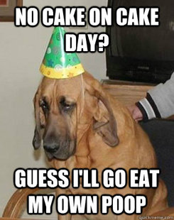 Sad Birthday Dog