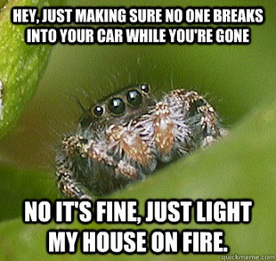 Misunderstood Spider