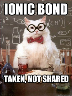 Chemistry Cat