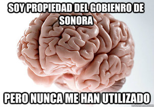 Scumbag Brain