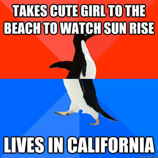 Socially Awesome Awkward Penguin