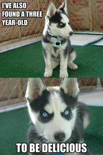 Insanity puppy