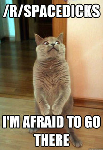 Horrorcat