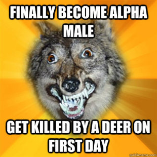 Retarded Wolf