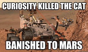 Unimpressed Curiosity