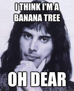 Good Guy Freddie Mercury