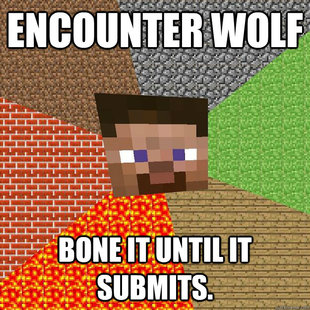 Minecraft
