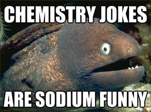 Bad Joke Eel