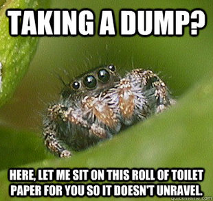 Misunderstood Spider