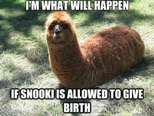 Alpacapillar
