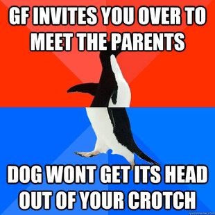 Socially Awesome Awkward Penguin
