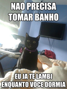 overly attached cat