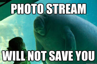Overlord Manatee