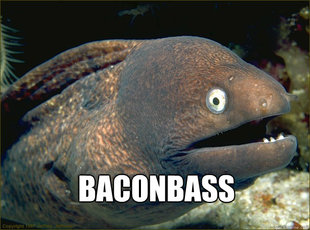 Caught in the act Moray