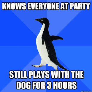 Socially Awkward Penguin