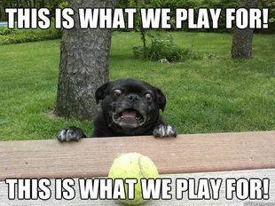 Berks Dog