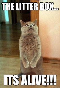 Horrorcat