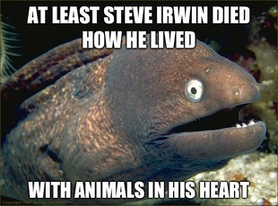 Bad Joke Eel
