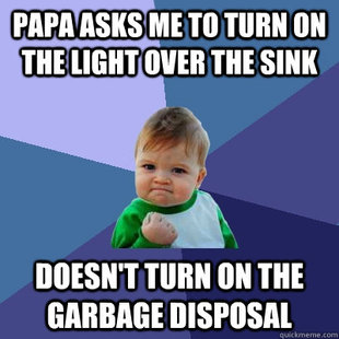 Success Kid