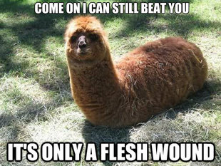 Alpacapillar