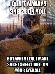 The Most Interesting Cat in the World
