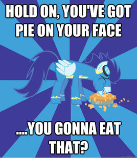 Foal Bachelor Brony