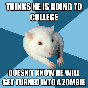 Psychology Major Rat