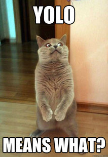Horrorcat