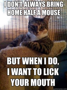 The Most Interesting Cat in the World