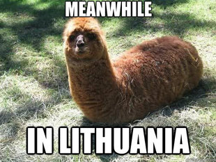 Alpacapillar