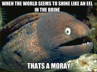 Caught in the act Moray