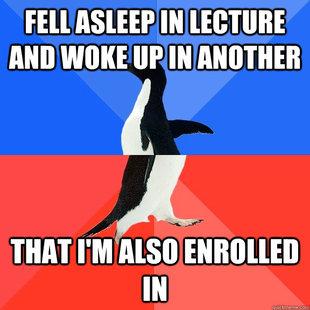 Socially Awkward Awesome Penguin