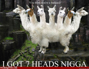 Trolling Llama