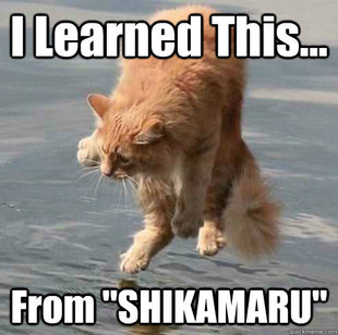 Cat Shinobi