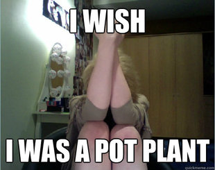pot plant girl