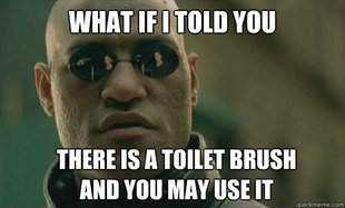 Toilet Brush