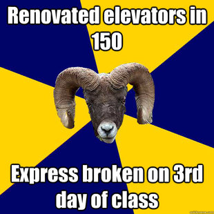 Suffolk Kid Ram
