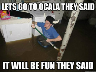 Do the laundry they said