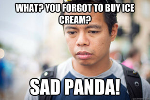 Sad JR Panda