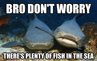 Compassionate Shark Friend